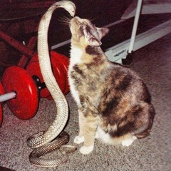 Margrit Lafleur