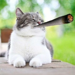 la lista mas larga del mundo xd