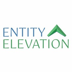 Entity Elevation
