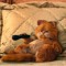 GARFIELD