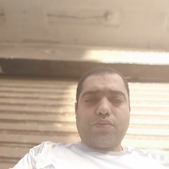 أسد يزأر وسط غابة الكلاب المطيعة