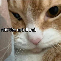 tlinh