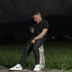 Lê Hồng Sơn