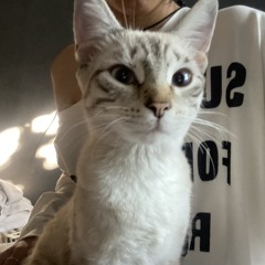 mushanato