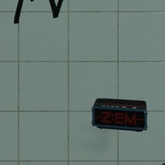 ZEM