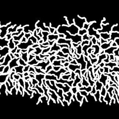 OBSCVRA AFFECTIO