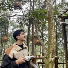 hoa nguyen