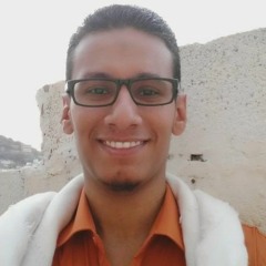 Adham Sultan