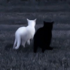 OMRGTZ