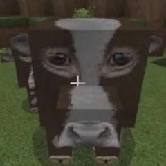 froger
