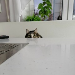 Илья Кубышев