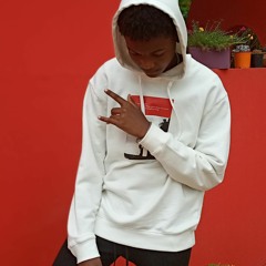 Jasse 307