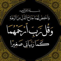 Amira Hamdy