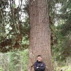 Артём Кузьминых