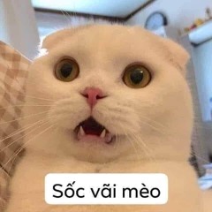 Lilmario9898