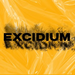 EXCIDIUM