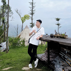 Vũ Triệu