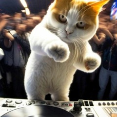 djmiau