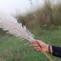 Rubaiya.....