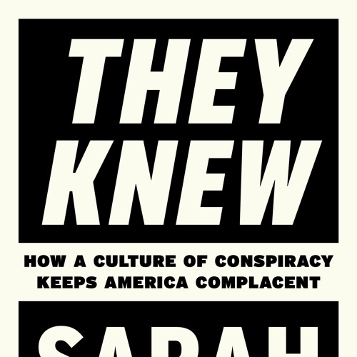 Stream Hiding In Plain Sight Chapter Two Excerpt from Sarah Kendzior