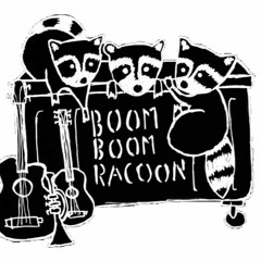Boom Boom Racoon