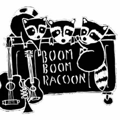 Boom Boom Racoon