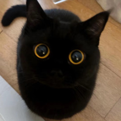 Qimba