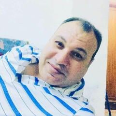 محمود متولى احمد