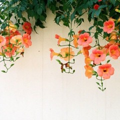MiNuEt