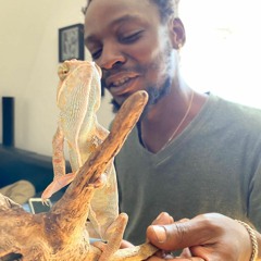 Fabrice King Morphis