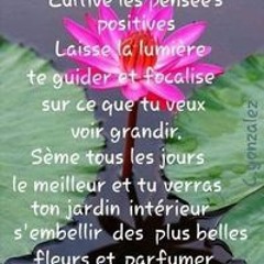 choupinette