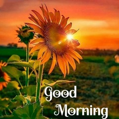 trippy vibes👁️🌀