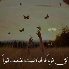 Amira Shokr