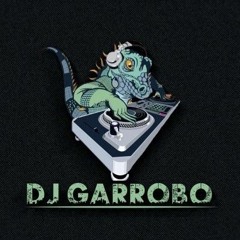 garrobo DJ