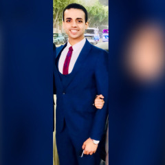 Mostafa Elkholy
