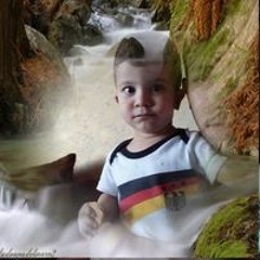 Bashar Bashar