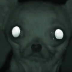 SaggyFatFace