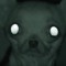 SaggyFatFace