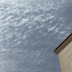 cz.v08