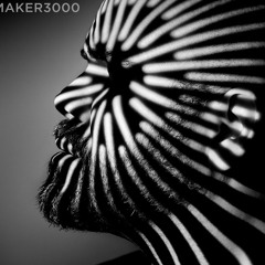 DemoMaker3000