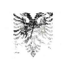 Albanian Firing Squad