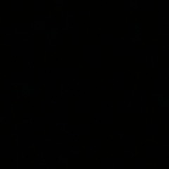 gvo