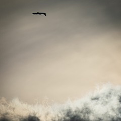 hangingwithmr.looper