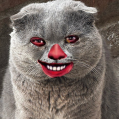 L¢d on m¥ tønguë
