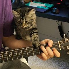 Who Needs You Cover - Post Malone