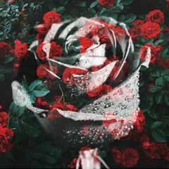 Some Tesla Operation Sounds