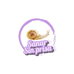 Bienvenida a Sanar sin Prisa