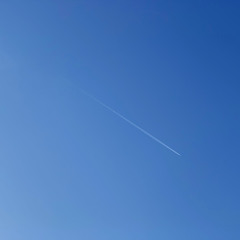 霖 琉夏
