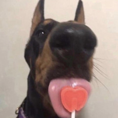 kito
