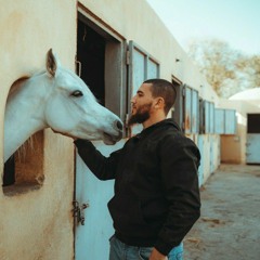 Ahmed Abd EL Rahman
